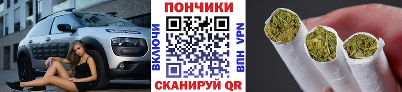 Купить закладку Чадан A-PVP Кокаин Меф Каннабис