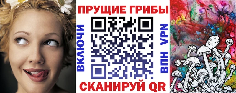 Псилоцибиновые грибы Psilocybine cubensis  купить наркоту  omg ТОР  Чадан 
