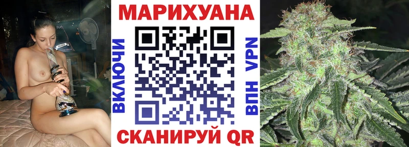 Канабис гибрид  Чадан 